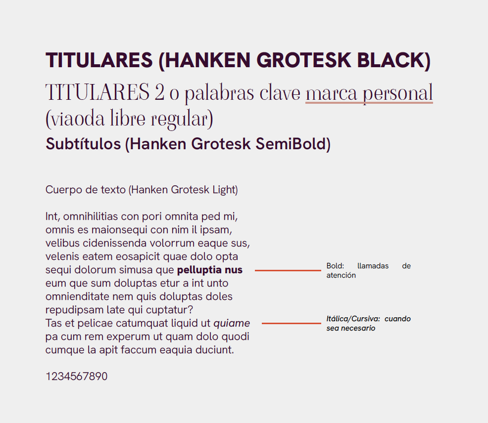 Imagen del sistema tipográfico de ANAVICTORIA, mostrando el uso de Hanken Grotesk para títulos y cuerpo de texto, y Viaoda Libre para acentos
